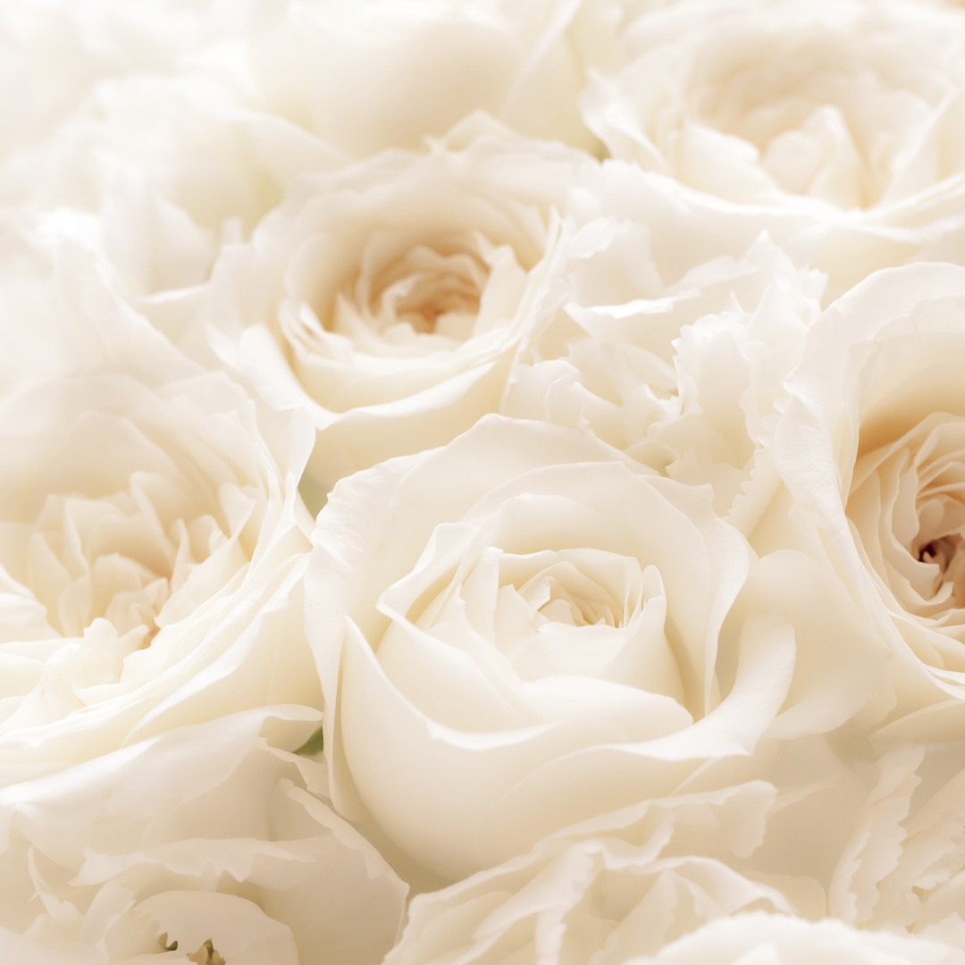 Savon Exfoliant Purifiant & Illuminateur - à La Rose Blanche - 125 grammes - 100% végétal